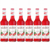 6 x Barmanský sirup na nápoje MONIN Watermelon ARBUZ 700 ml