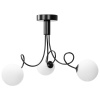 Toolight Toolight, stropná lampa sklenené gule 3xG9 APP1154-3CP, čierna, OSW-14012