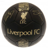 Futbalová lopta Fan-shop Mini Liverpool FC Signature Gold (100167)