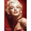 EUROGRAPHICS Puzzle Marilyn Monroe: Červený portrét 1000 dielikov EUROGRAPHICS Puzzle Marilyn Monroe: Červený portrét 1000 dielikov