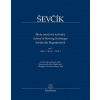 Škola smyčcové techniky op. 2, Sešit 1 - Otakar Ševčík