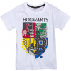Chlapčenské tričko HARRY POTTER ROKFORT biele Veľkosť: 146