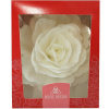 Ruža Rose Decor biela 12 cm