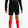 Nike PSG Strike S