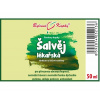ŠALVIA LEKÁRSKA kvapky 50ml (tinktúra) | Bylinné kvapky