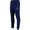 Nohavice Puma teamRISE Poly Training Pants 65739006 Veľkosť M