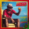 SHAGGY - CHRISTMAS IN THE ISLANDS (1CD)