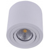 Bodové osvetlenie Emithor 48606 - Stropné bodové svietidlo SURFACE 1xGU10/50W/230V (96132)
