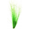 Dennerle Plants Eleocharis vivipara - 1 ks