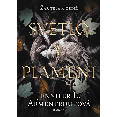 Světlo v plameni (2) - Jennifer L. Armentroutová