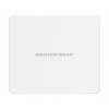 Grandstream Indoor Access Point GWN7604