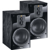 Magnat Signature 503 black