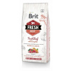 Brit Dog Fresh Beef & Pumpkin Puppy Large 12 kg