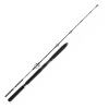 Daiwa Prút BG Sea Jigger 1,70m 150-400gr