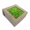 MECH Škrabance Bright Green 500 g - 0,5 kg (MECH Škrabance Bright Green 500 g - 0,5 kg)