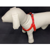 Palkar motýlik postroj pre psov 44 cm - 62 cm veľ. 2 červená (Palkar motýlik postroj pre psov 44 cm - 62 cm veľ. 2 červená)