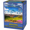 Everest Ayurveda Brahmi – pamäť & povzbudenie mozgovej činnosti, sypaný čaj, 100g