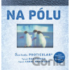 Na pólu - Dan Kainen, Caol Kaufmann