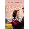 Velocity of a Secret - Violet Marsh