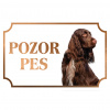 Írsky seter - Kovová tabuľka POZOR PES