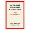 Kapitalismus, socialismus a budoucnost aneb Mikeš už přišel - Ilona Švihlíková, Miroslav Tejkl