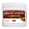 Virde Gastan gél 250 ml