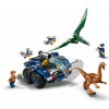 Gallim a Pteranodon Escape Fit 75940 +LEGO karty (Gallim a Pteranodon Escape Fit 75940 +LEGO karty)