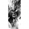 Dverová fototapeta - FT2167 - Batman 91cm x 211cm - Samolepiaca fólia