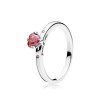 PANDORA prsten Ty a já 60 196574CZRMX-60