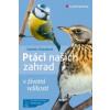 Ptáci našich zahrad