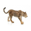Animal Planet Leopard