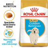 Royal Canin Golden Retriever Puppy 12 kg