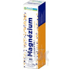 PLUS LEKÁREŇ Magnézium + vitamín B6 tbl eff s príchuťou pomaranča 1x20 ks