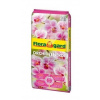 Substrát orchidea 5L (FLORAGARD)