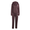 Dámska Tepláková súprava ADIDAS W LINEAR TS JD2698 – Vínová