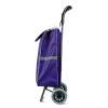 Vyťahovacia nákupná taška na kolieskach - 5 farieb - 100 x 36 x 25 cm - polyester - max 30 kg