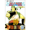 Bleach 10: Tattoo on the Sky - Tite Kubo
