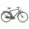 Mestsky bicykel - Le Grand William Bike 2 Bronze S-20 Gloss “ (Le Grand William Bike 2 Bronze S-20 Gloss “)