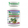 Ashwagandha Planet Ayurveda ajurvéda kapsule