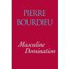 Masculine Domination (Pierre Bourdieu,Bourdieu Pierre,Richard Nice)(Brožovaná)