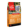 ORIJEN Original Cat suché krmivo pre mačky 5,4 kg