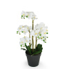 Dekoratívna Biela Orchidea v Kvetináči