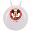 John Hopsadlo Disney 100, 500mm