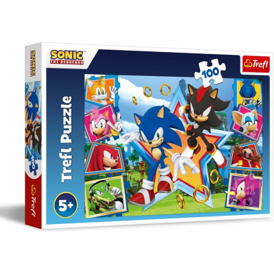 Trefl Puzzle Zoznámte sa so Sonicom SEGA Sonic The Headgehog 100 dielikov