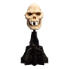 Weta Workshop Lord of The Rings Mini Soška Skull of Lurtz 14 cm