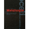 Metalurgie oceli na odlitky - Jaroslav Šenberger a kol.