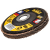 DeWALT lamelový kotúč 125mm x 22.2 x 60G Typ 27 Jumbo DT30612-QZ