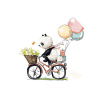 Fototapeta vliesová Panda na bicykli 95