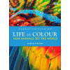 Life in Colour