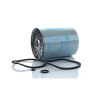 Palivový filter Donaldson P556287 ekvivalent 1896287m91 6005000895